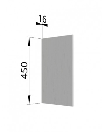 Панель торцевая (для шкафа горизонтального высокого) ВПГ Ройс (Графит софт) в Марусино - marusino.mebel54.com | фото